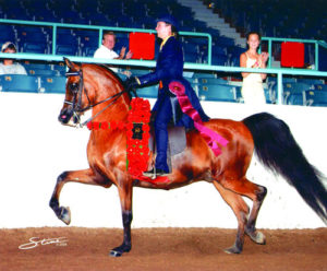 National Champion, CT Roustabout+ & Allyssa Baird
