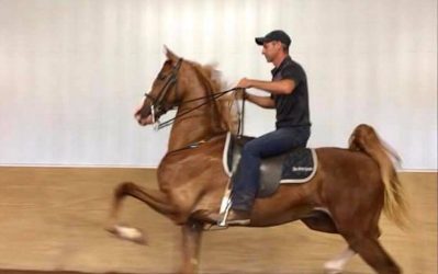 36121239_1860011140686879_7158394830870020096_n