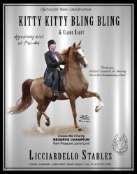 485356333_1175651767896019_6748275757619794048_n