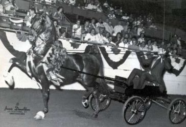 506468127_10237738643193106_3498312974578751411_n