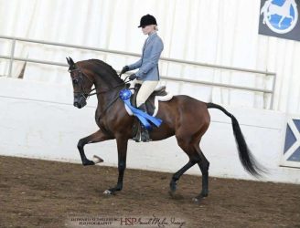 567944346_1352518080203479_5620305636459002219_n